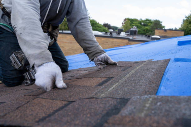 Best Affordable Roofing Company  in Colon, MI
