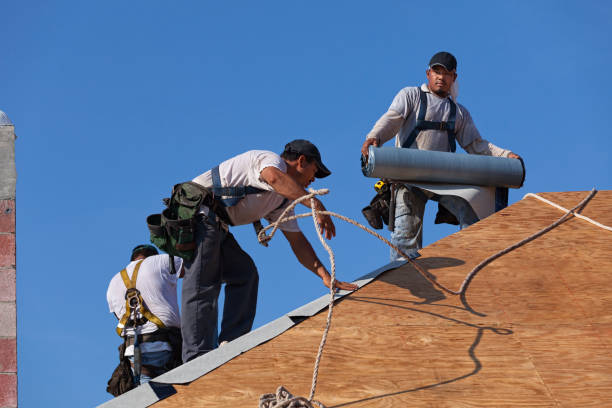 Best Residential Roofing Contractor  in Colon, MI
