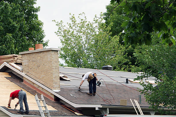 Best Roof Maintenance Services  in Colon, MI