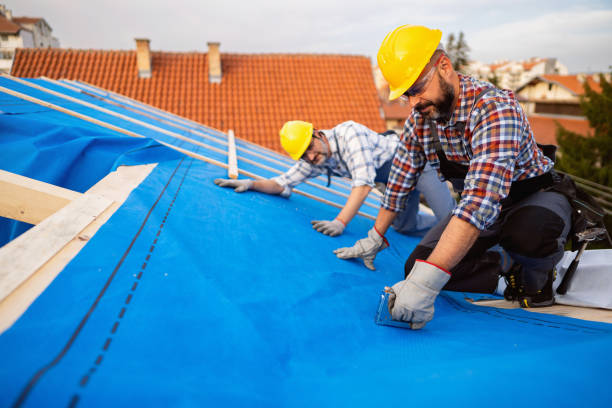 Best Best Roofing Contractors  in Colon, MI
