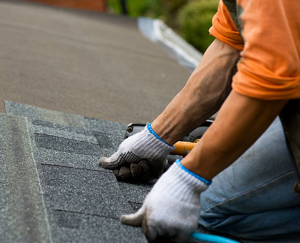 Trusted Colon, MI Roofing Contractor Experts