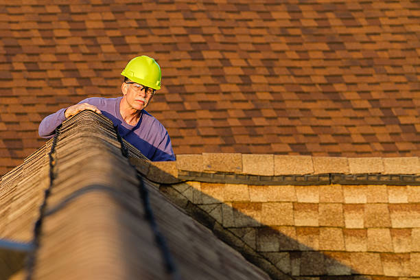 Best Local Roofing Companies  in Colon, MI