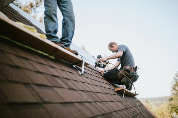 Residential Roof Replacement in Colon, MI